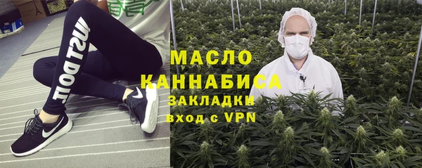 мдпв Бородино