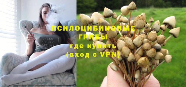 мдпв Бородино